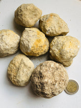 Load image into Gallery viewer, Bag of Geodes (crack your own)