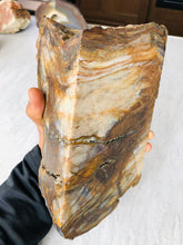 Load image into Gallery viewer, Natural Pre-mineralized Petrified Wood Log