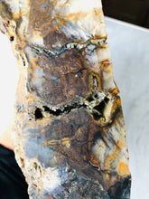 Load image into Gallery viewer, Natural Pre-mineralized Petrified Wood Log