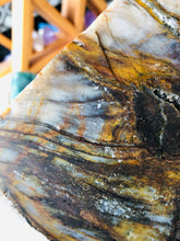 Load image into Gallery viewer, Natural Pre-mineralized Petrified Wood Log