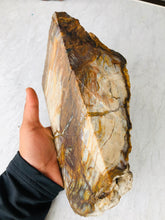 Load image into Gallery viewer, Natural Pre-mineralized Petrified Wood Log