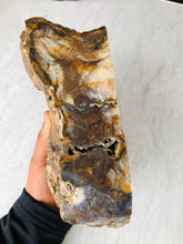 Load image into Gallery viewer, Natural Pre-mineralized Petrified Wood Log