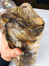 Load image into Gallery viewer, Natural Pre-mineralized Petrified Wood Log