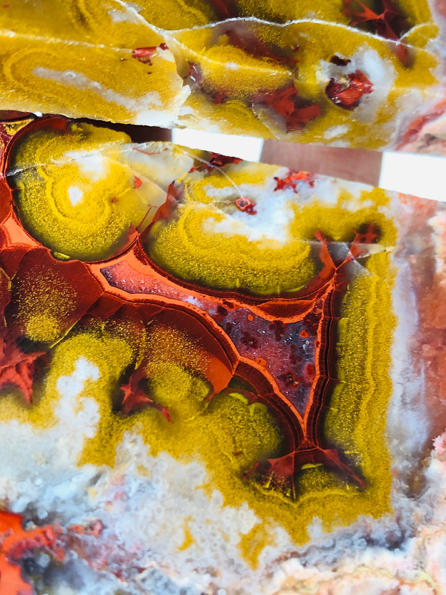 Paint Rock Agate (Slab) All of The Ologies Inc