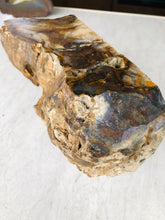 Load image into Gallery viewer, Natural Pre-mineralized Petrified Wood Log