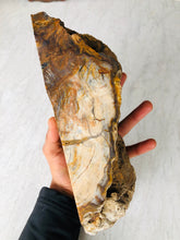 Load image into Gallery viewer, Natural Pre-mineralized Petrified Wood Log