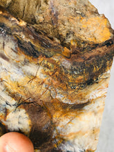 Load image into Gallery viewer, Natural Pre-mineralized Petrified Wood Log