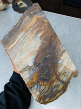 Load image into Gallery viewer, Natural Pre-mineralized Petrified Wood Log