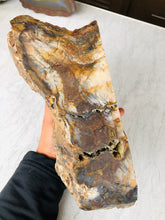 Load image into Gallery viewer, Natural Pre-mineralized Petrified Wood Log