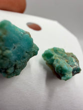 Load image into Gallery viewer, Turquoise Studs