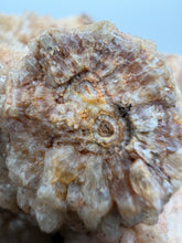 Load image into Gallery viewer, Pink Botryoidal druzy Calcite/ Chalcedony Psudomorph over Lace Agate
