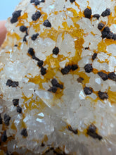 Load image into Gallery viewer, Limonite pseudomorphs after Marcasite nodules on Hematite coated Quartz