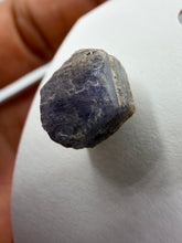 Load image into Gallery viewer, Blue Sapphire studs