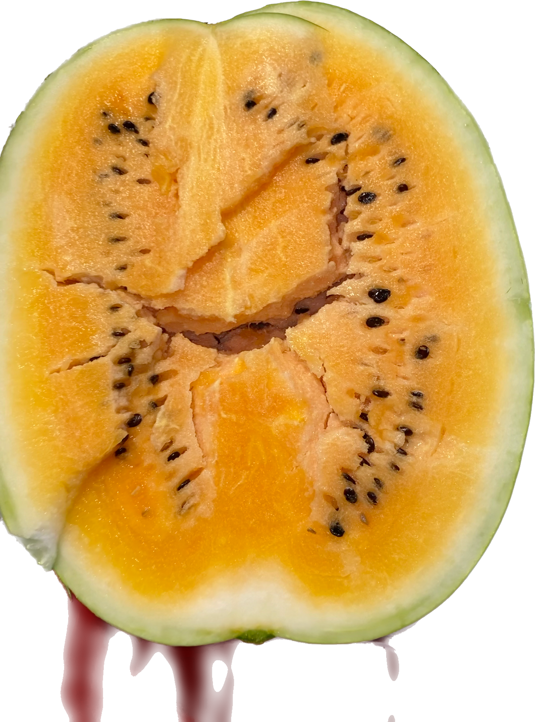 Orange Watermelon Seeds