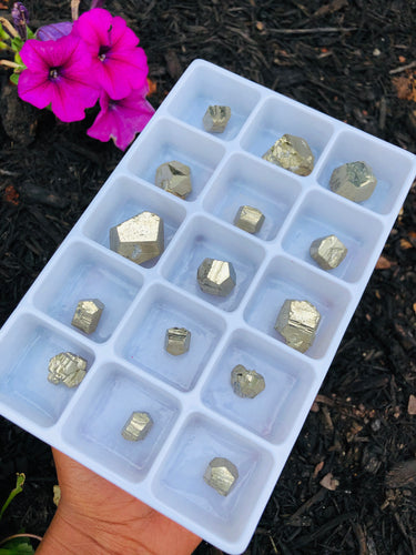 15 piece Pyrite Polyhedron Mineral Set