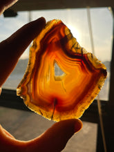 Load image into Gallery viewer, Druzy banded Agate slice