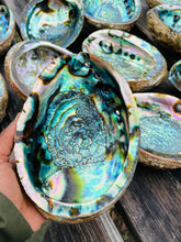 Load image into Gallery viewer, Abalone Oversized Shell