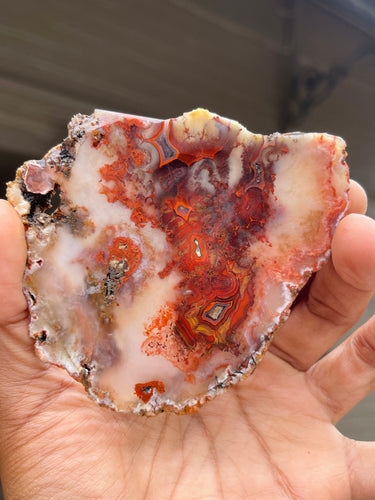 Paint Rock Agate slice