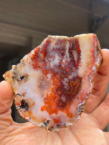 Alabama Paint Rock Agate slice