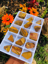 Load image into Gallery viewer, 15 piece Yellow Tigers Eye Mineral Set