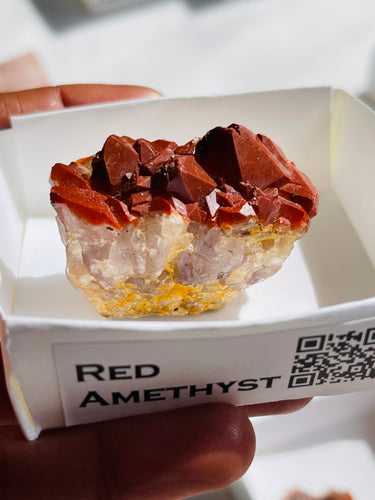 Red Amethyst crystal cluster