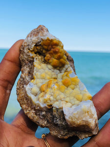 Agatized Coral Botryoidal Chalcedony Geode