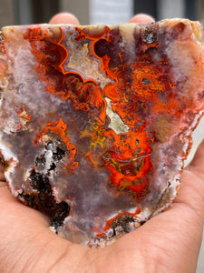 Paint Rock Agate specimen