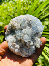 Load image into Gallery viewer, Celestite geode