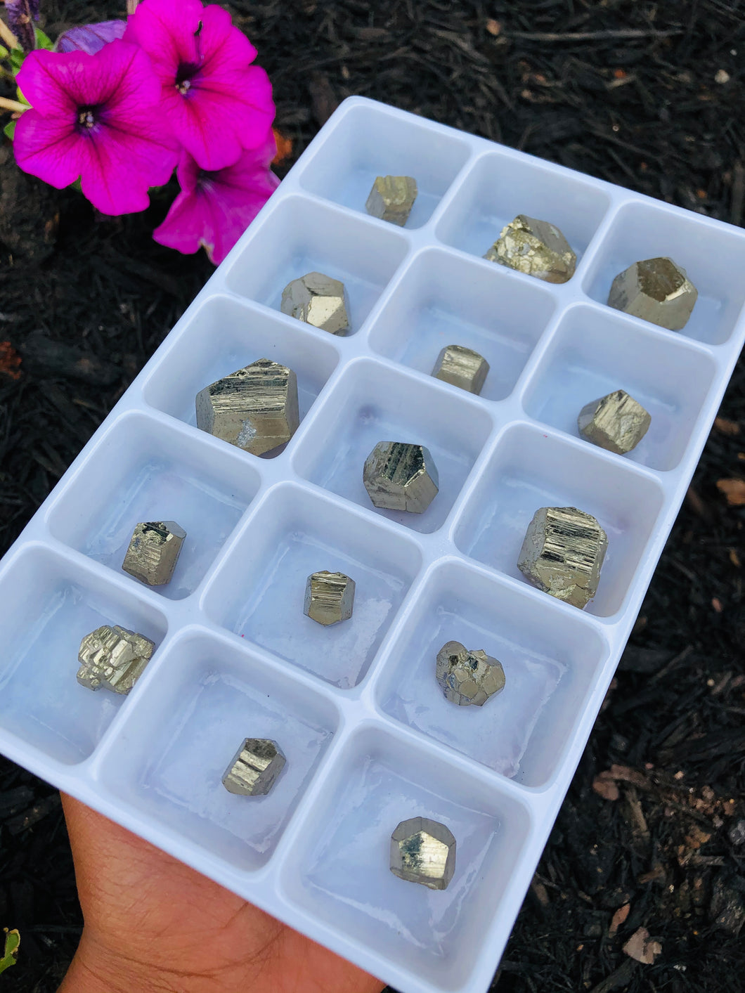 15 piece Pyrite Polyhedron Mineral Set