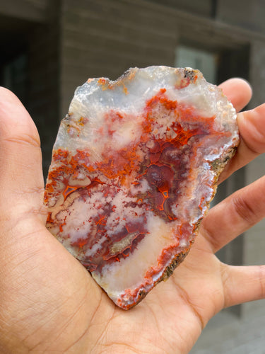 Paint Rock Agate slice