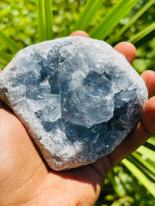 Celestite Geode