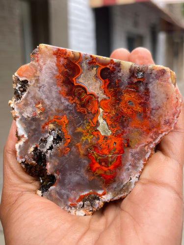 Paint Rock Agate specimen