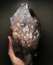 Load image into Gallery viewer, Rare Large Elestial Skeletal Amethyst crystal point display with Record Keepers