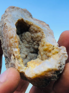 Honey Botryoidal Chalcedony Geode