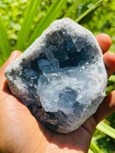 Load image into Gallery viewer, Celestite Geode