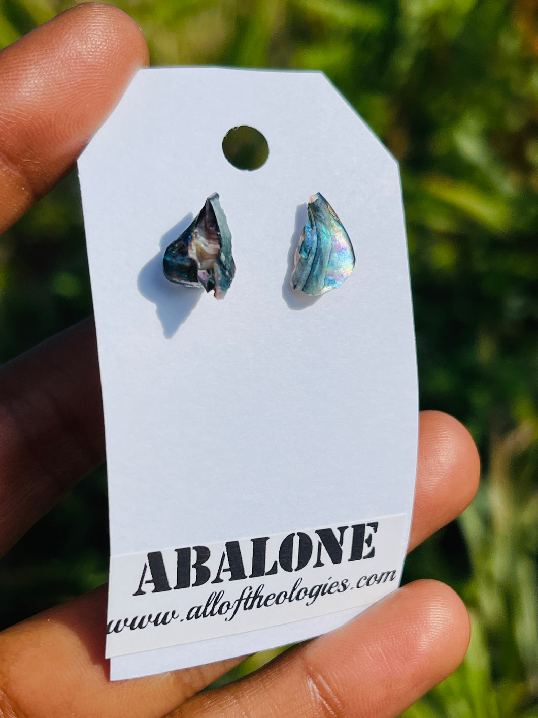 Abalone studs