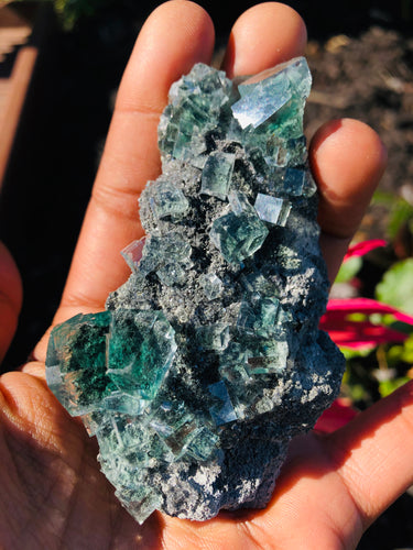 Clear Phantom Fluorite