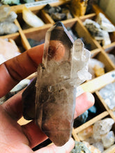 Load image into Gallery viewer, Elestial Smoky Quartz Cluster