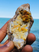 Load image into Gallery viewer, Agatized Coral Botryoidal Chalcedony Geode