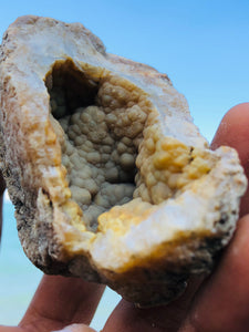 Honey Botryoidal Chalcedony Geode