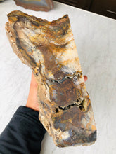 Load image into Gallery viewer, Petrified Wood Display